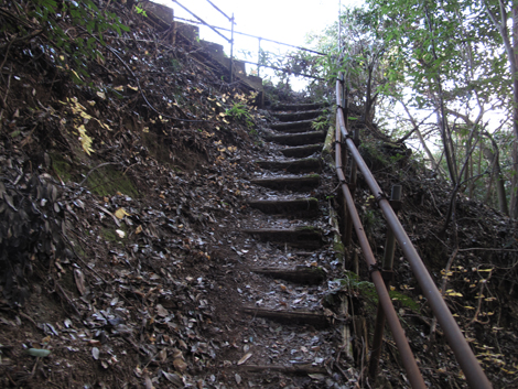 20190108hike (9)